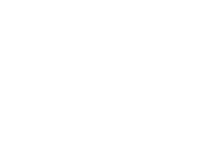 wasp specialist logo white footer